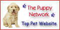 Jayce's Weimaraners